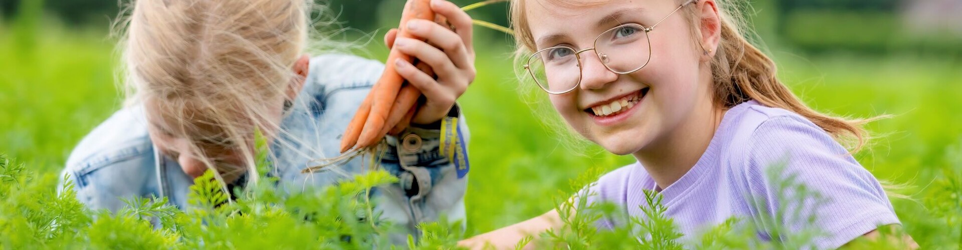 Bekijk onder onderzoeken