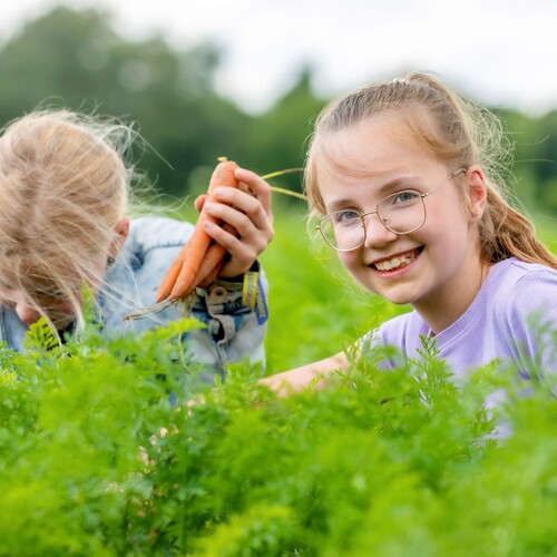 Bekijk onder onderzoeken