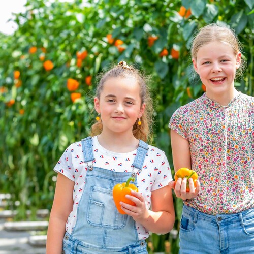 Ondernemers, Overheid, Scholen, Ouders