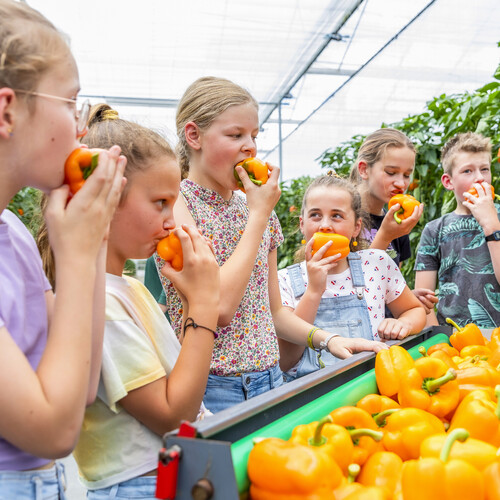 Ondernemers, Overheid, Scholen, Ouders