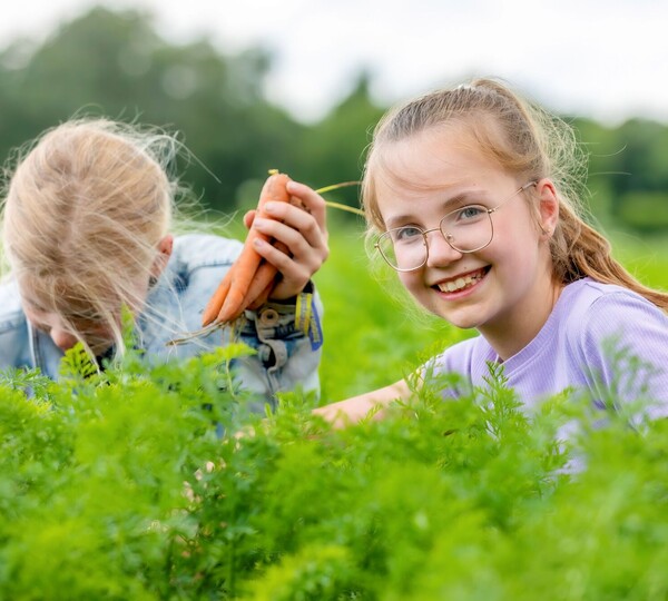 Onderzoek Jeugdeducatiefonds: schoolmaaltijden verminderen honger en vergroten ouderbetrokkenheid, 7 juli 2025