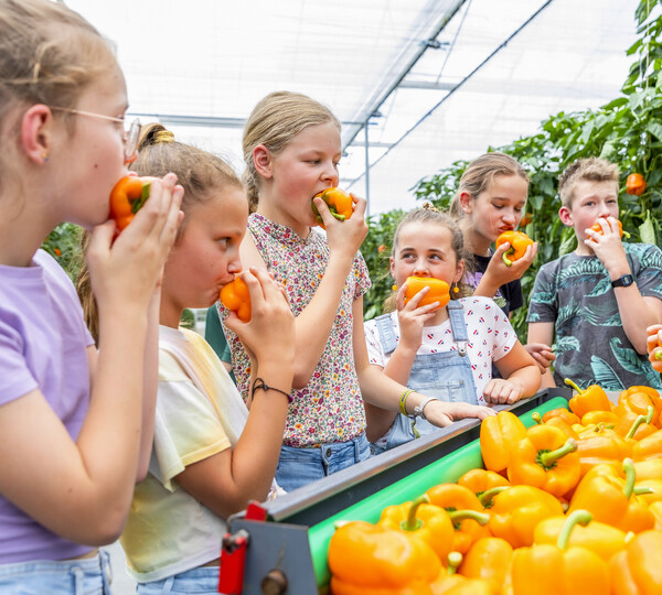Waarom eten we niet genoeg groente en fruit (en hoe kunnen we consumptie stimuleren)?