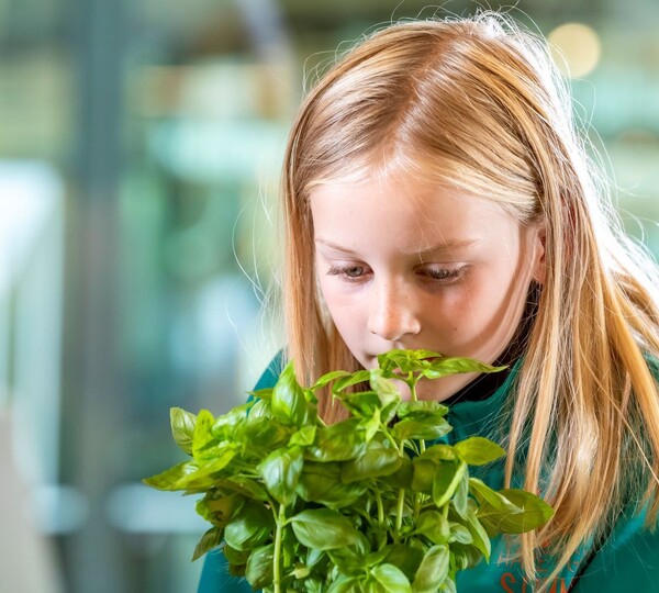Waarom eten we niet genoeg groente en fruit (en hoe kunnen we consumptie stimuleren)?