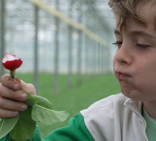 KRO Kindertijd bij de telers van Kokkerelli, 14 oktober 2025